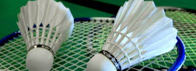 badminton1