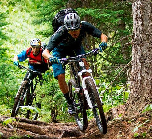 mtb1