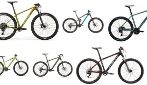 mtbs